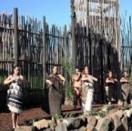 Te Hana0