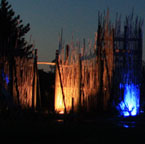 te-hana-maori-village-starlight-tours.jpg